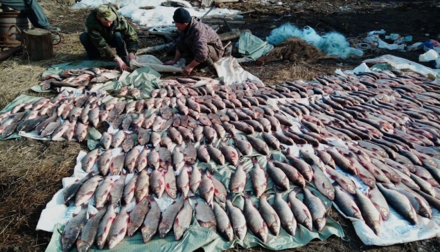 Крупный улов Свердловской рыбоохраны